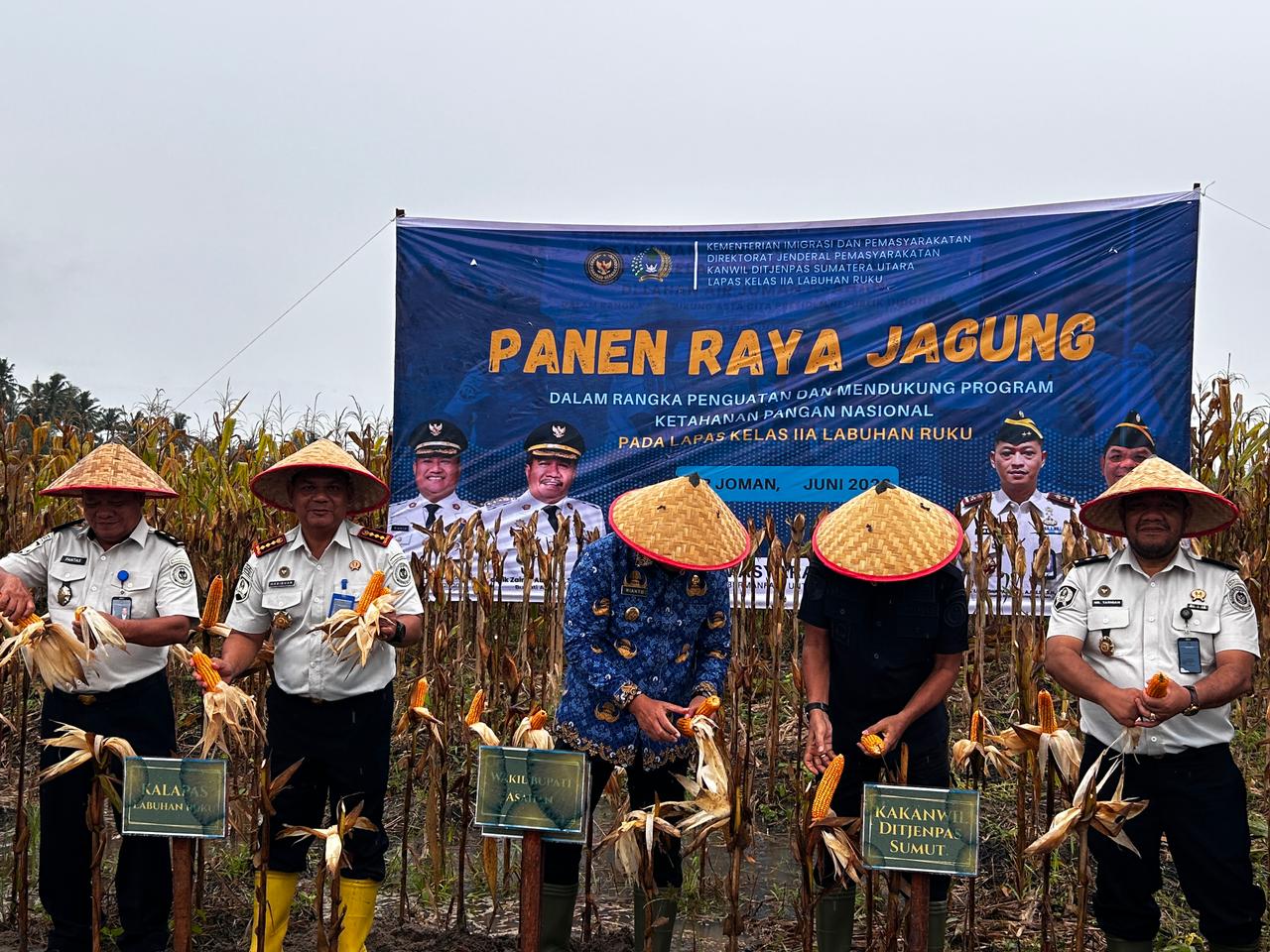 Dari Balik Tembok Pemasyarakatan, Jagung Berlimpah: Lapas Labuhan Ruku Sukses Gelar Panen Raya